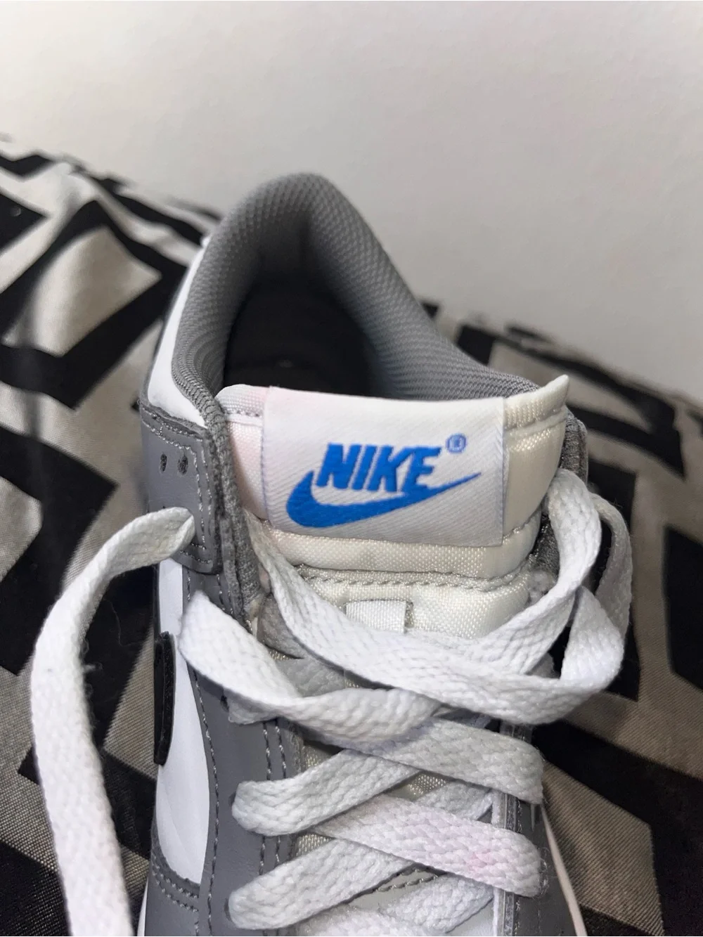 Big Kids Nike Dunk Low